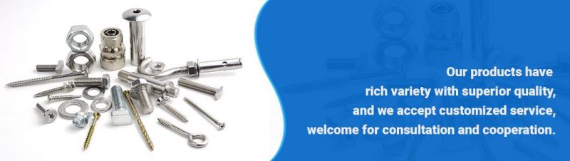 Square Head Stainless Steel 304 T Head Bolt A2 T Head Bolt