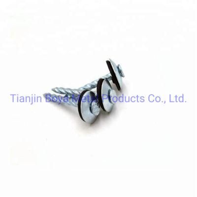 Galvanized Roofing Screw Nail with Washer/Assembled Roofing Nail From Tianjin