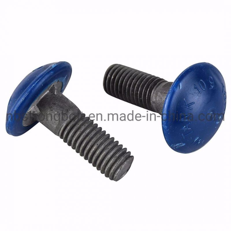 Plastic Coated Round Head Screw
