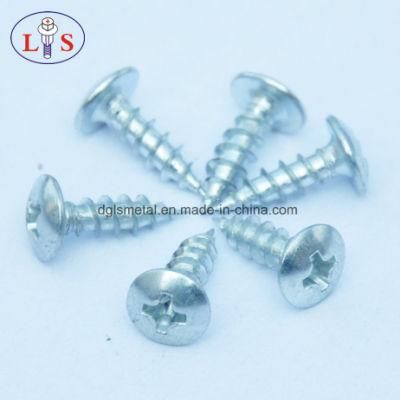 Cross Recess Truss Head with High Quality