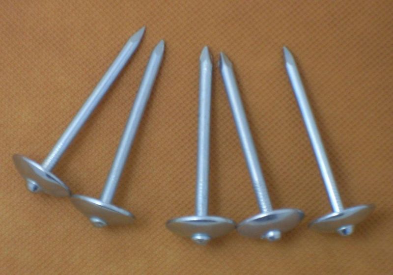 Direct Manufacturer Since Factory Price Galvanized Umbrella Head Roofing Nail