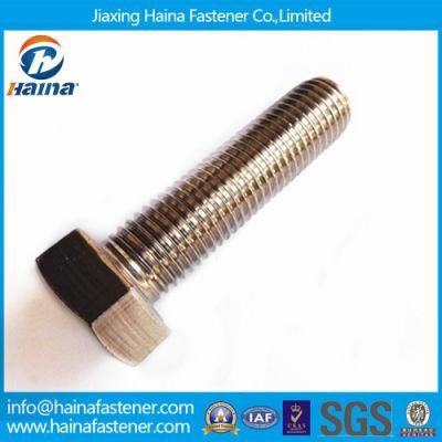 Jiaxing Haina Asme B18.2.1 Stainless Steel 18-8 Hex Cap Screw