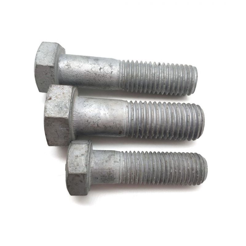 Alloy Steel HDG Black Oxide Carriage Bolt DIN 603 Mushroom Round Square Neck Head Bolt Coach Bolt Hex Head Bolt T Bolt U Bolt Toggle Bolt Anchor Bolt Screw Bolt