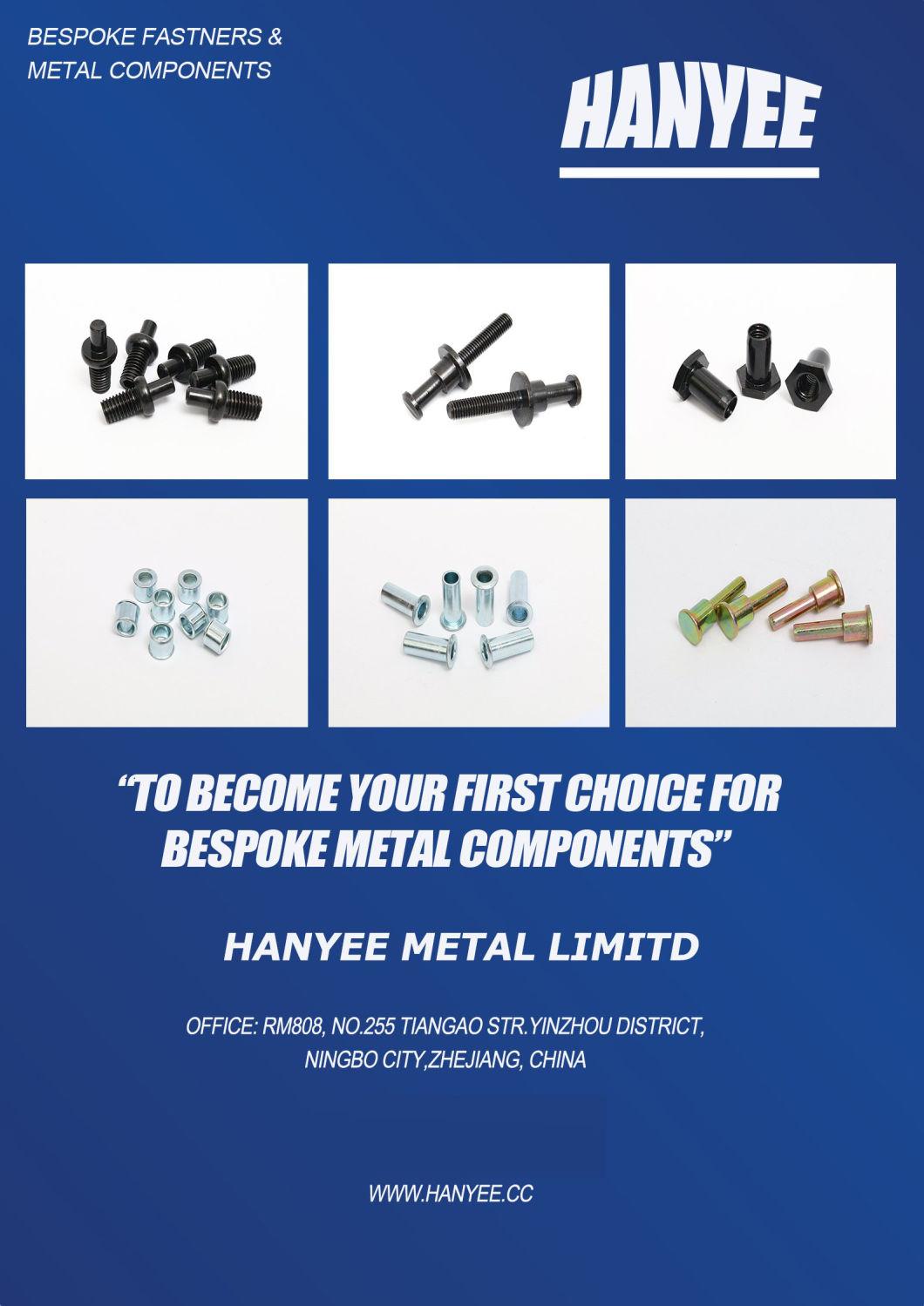 High Quality Cold-Heading Znic Plating Tolearance ± 0.2 Fastener for Building by Hanyee Metal in Zhejiang