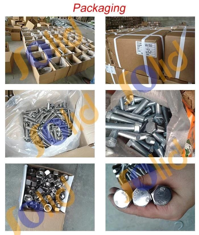 High Quality Hex Galvanized Bolts and Nuts