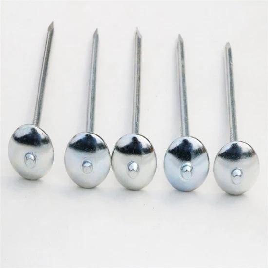 China Factory Supply Electric Galvanized Roofing Nail