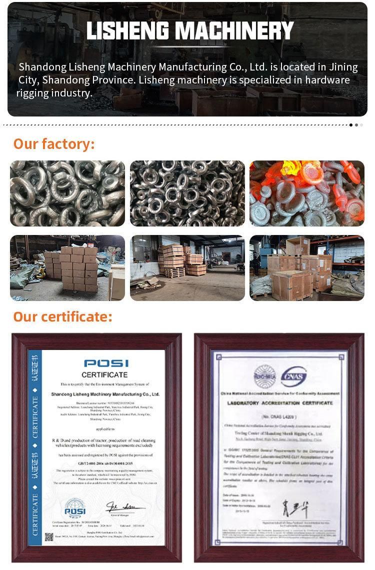 Galvanized Drop Forged DIN 580 Lifting Eye Bolt Screw
