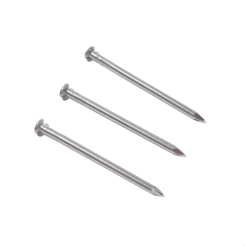 Kenya Angola Ethiopia Market/Cheap Price Iron Galvanized Common Wire Nail Construction Nails for Wood