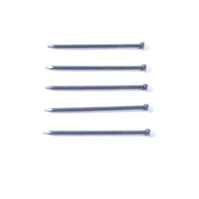 High Quality Finishing Iron Wire Nail Common Wire Nails