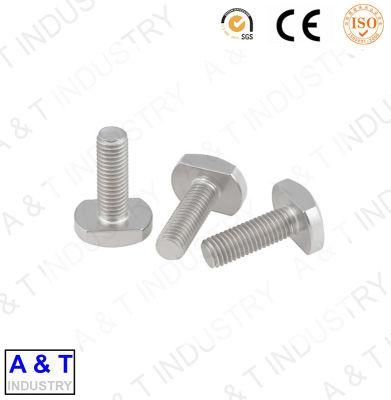 Hot Selling Stainless Steel 304 A2 316 A4 M6-M48 T-Head Bolt