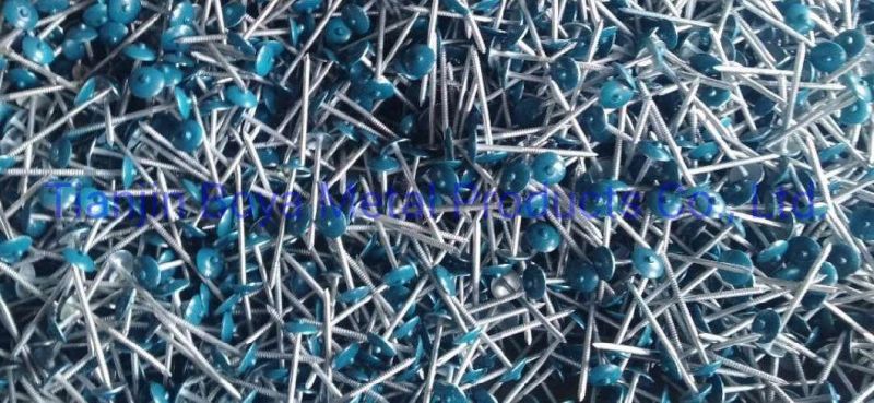 Hot Sale Umbrella Head Twisted Shank Roofing Nail Roofing Nail with Washers