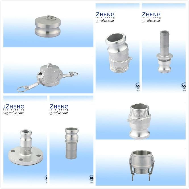 Stainless Steel C Type Camlock Coupling