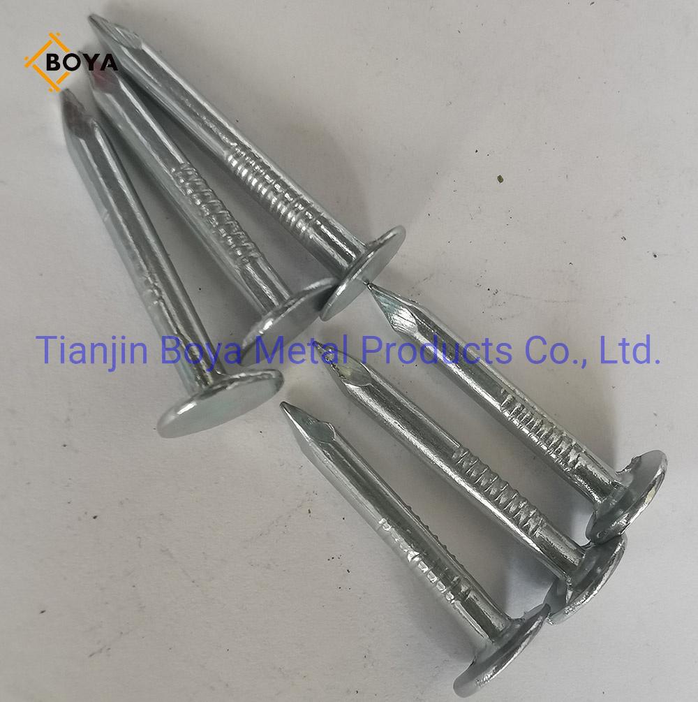 High Quality Roofing Nails Big Flat Head Clout Nails Steel Iron Nails From Factory