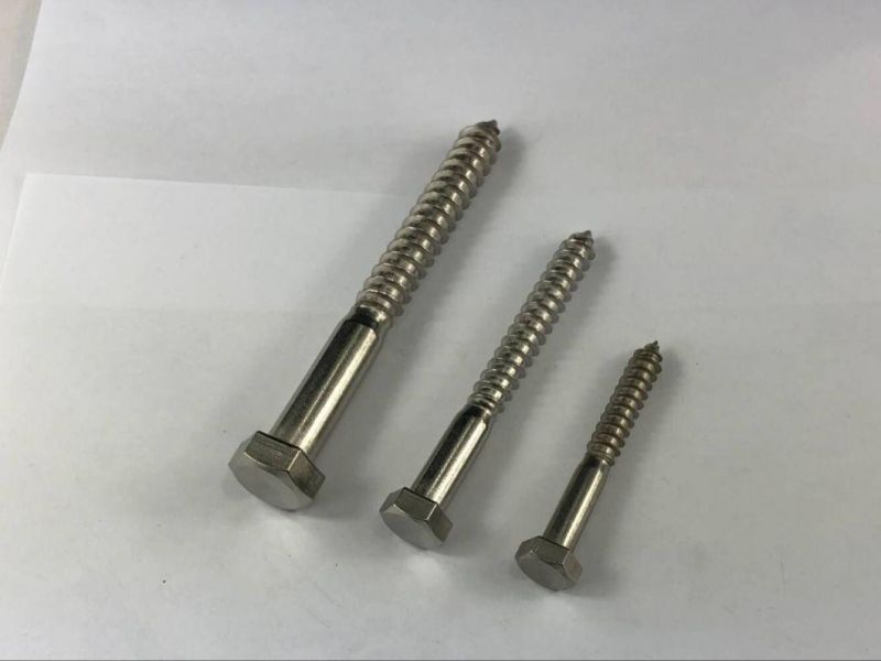 Stainless Steel Hex Lag Screw