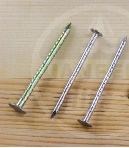 Galvanized Roofing Nail in High Quality