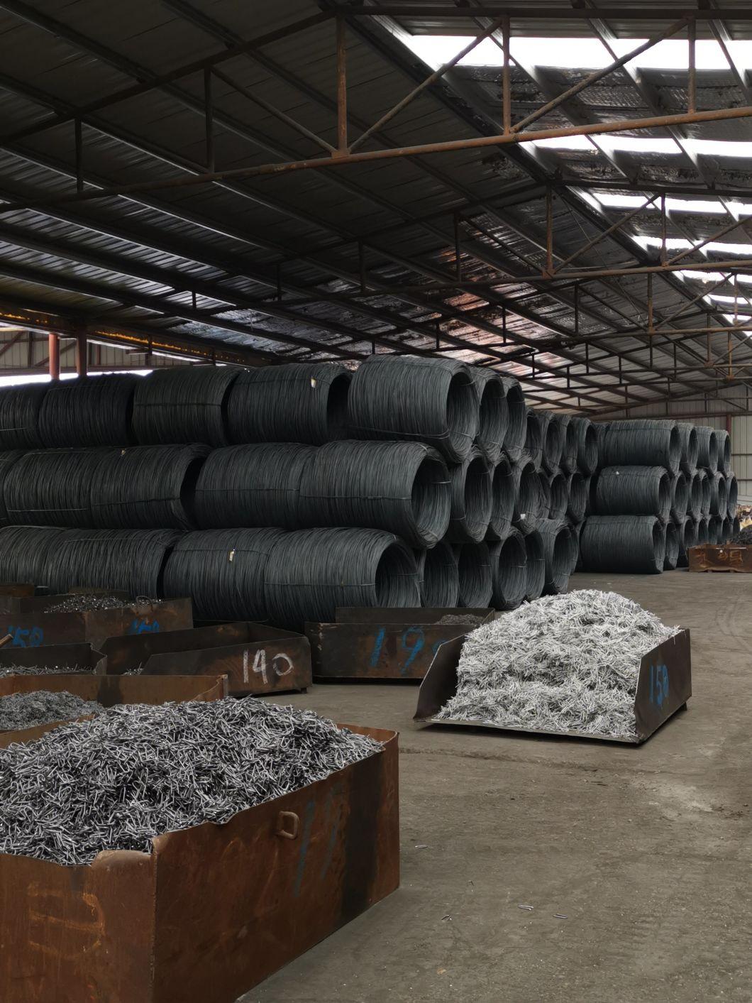 Chinese Factory Concrete Cut Masonry Nails Galvanized Steel Cut Nails
