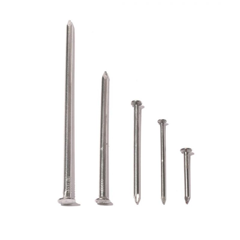 Kenya Angola Ethiopia Market/Cheap Price Iron Galvanized Common Wire Nail Construction Nails for Wood