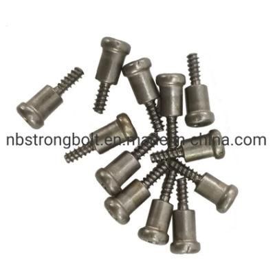 Special Step Shaped Screw Non- Standard Screw