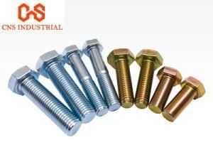 Standard, Bolts, Carriage Bolts, Wood Screws, Nuts, Various Kinds of Fasteners