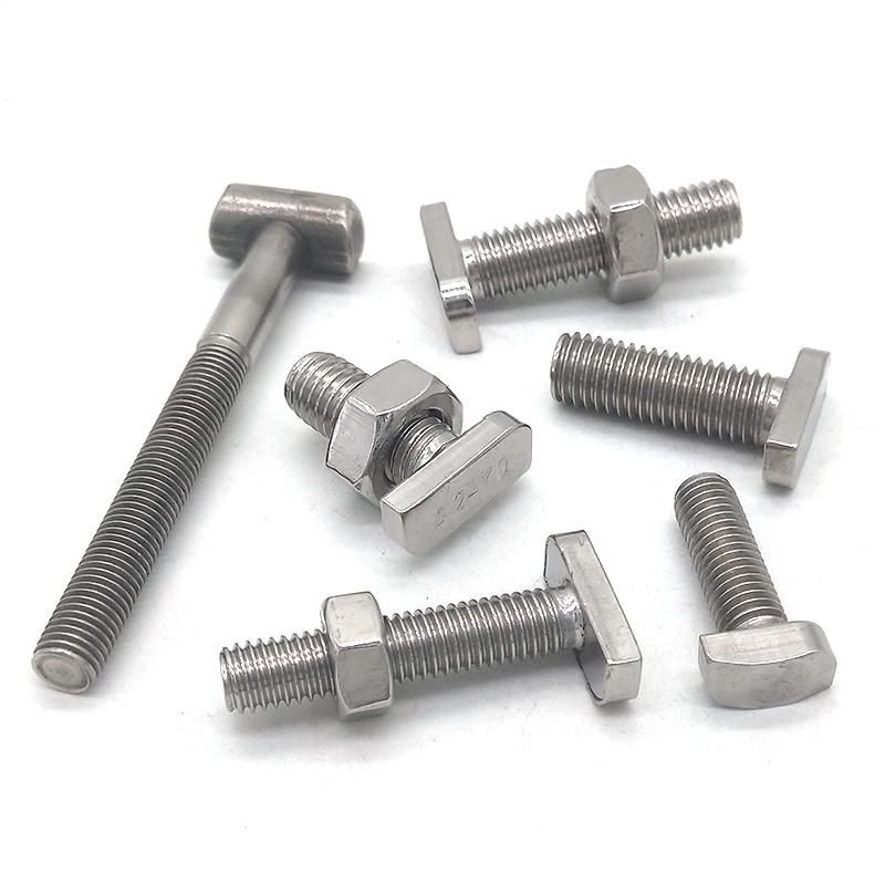 Stainless Steel/Carbon Steel T Type Head Bolts
