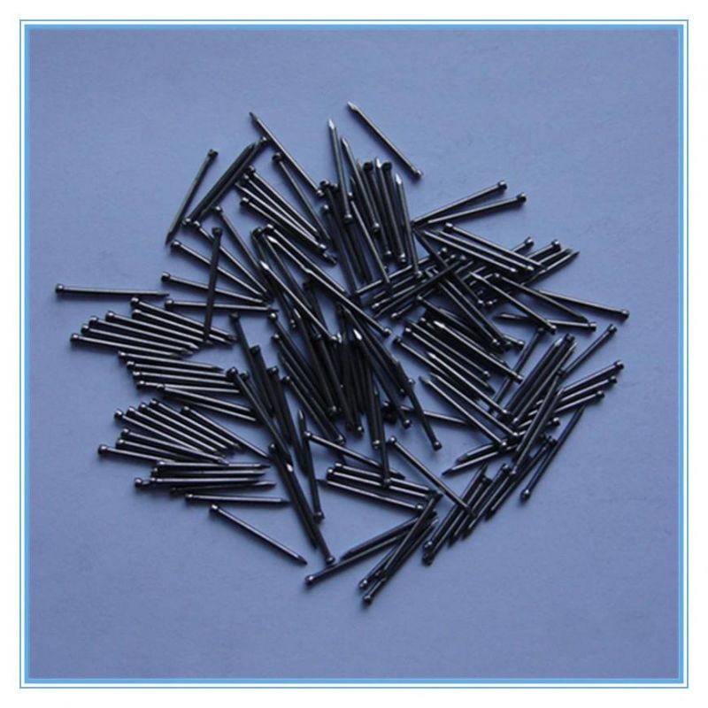 Galvanized Round Headless Nail/Furniture Nail/Finishing Nails with Factory Price