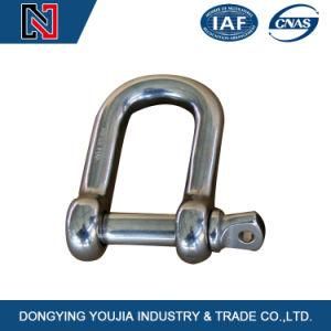 Stainless Steel D Shackle with Screw Pin