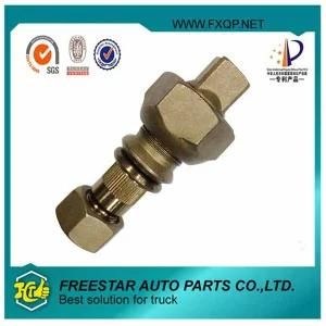 Fxd Heavy Truck Luxury Gold Fastener Wheel Hub Bolt