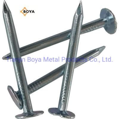 High Quality Roofing Nails Big Flat Head Clout Nails Steel Iron Nails From Factory