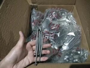 Hardware and Fastener Factory Nail Iron Wire Nails 1kg Pack 25bags/Carton