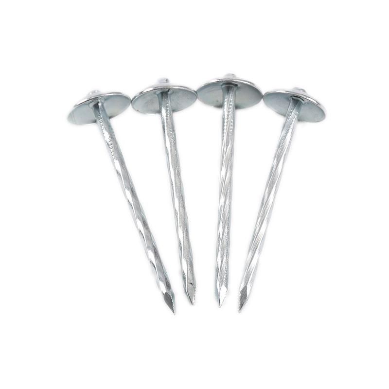 2′′ to 4′′ Q195 Polished Nail/Galvanized Iron Nail/ Roofing Nail/Ring Steel Nail/Coil Nail/U Type Nail/Metal Wire Nail for Construction