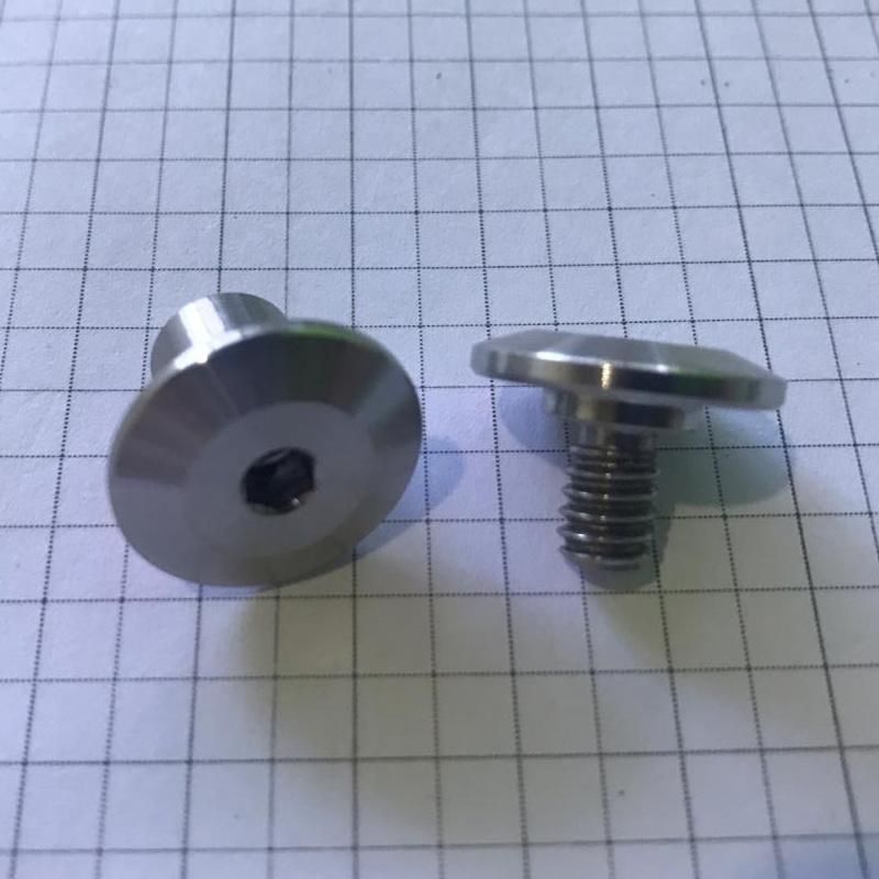 Stainless Steel Male and Female Screws Blinding Screw Album Screws with Slotted Head