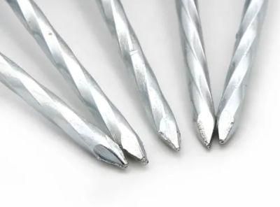 Umbrella Roofing Nails Manufacture with High Quality and Lowest Price