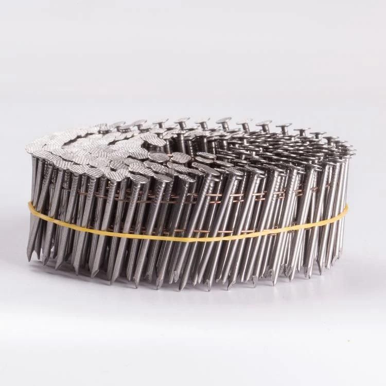 Iron Wire Smooth Shank Coil Nails for Pneumatic Tool