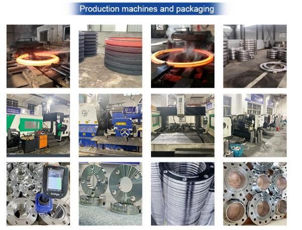 Customized ASME B16.47 Big Diameter Stainless Steel TP304 Tp316 Blrf Blind Steel Flange