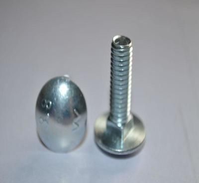 Carriage Bolt Stainless Steel Bolt Mushroom Head Square Bolt DIN603