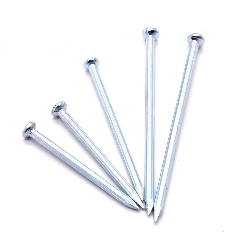Lower Factory Price Customized Magnetic Angular Concrete Nail Stainless Steel