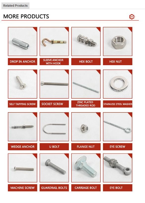 SS316 M8 Round Head Bolt Dome Bolt