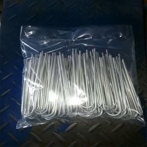Black Galvanized Turf Nail From Manufacturer