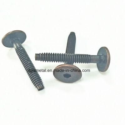 Hexagonal Socket Bolt and Flat Head Hexagonal Bolt
