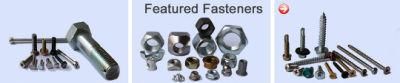 Machine Screw / Lag Screw