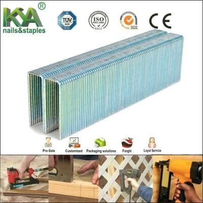 Fasco GS16 Series Staples for Decoration