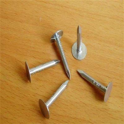 Big Cap Nail Linoleum Nail Cap Diameter About 9mm Tile Nail Iron Nail