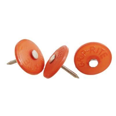 Cheap Price Electro Galvanized Grip-Cap Plastic Cap Nail with Plastic Tube