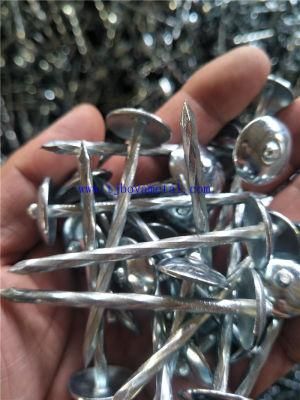 Construction Material Galvanized Shining Umbrella Head Color Roofing Nail