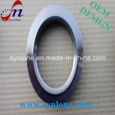Stainless Steel Flange with Surface Polishing for Fastenings