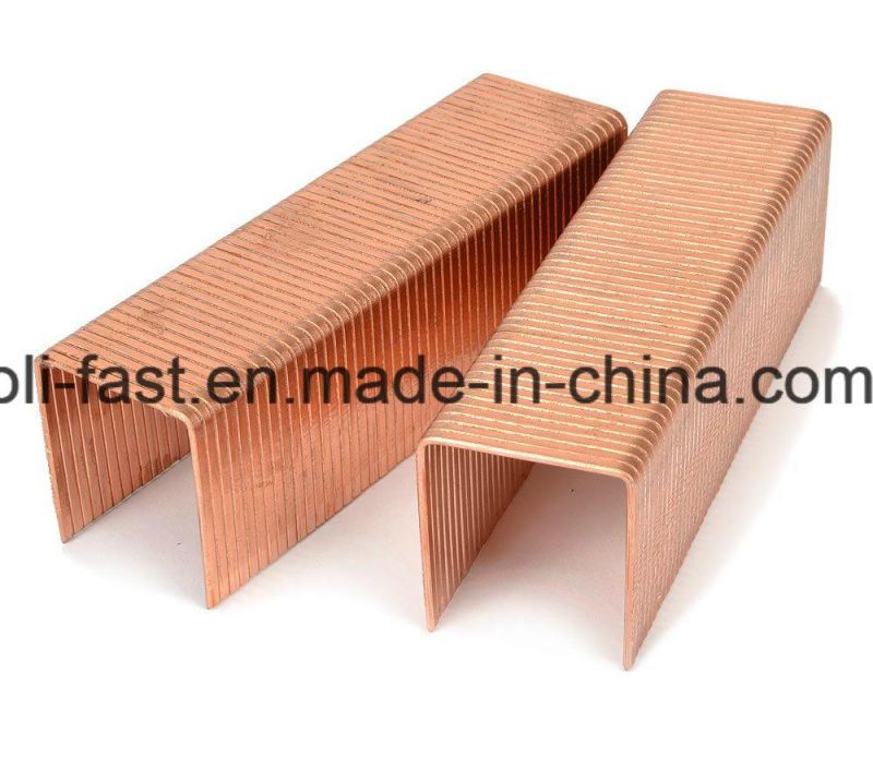Bostitch Sw9060 Staples for Triple Wall Corrugated Boxes, Liquor Finish (Copper)