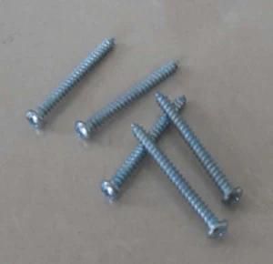 Screw/Galvanized DIN Truss Head Self-Tapping Screw