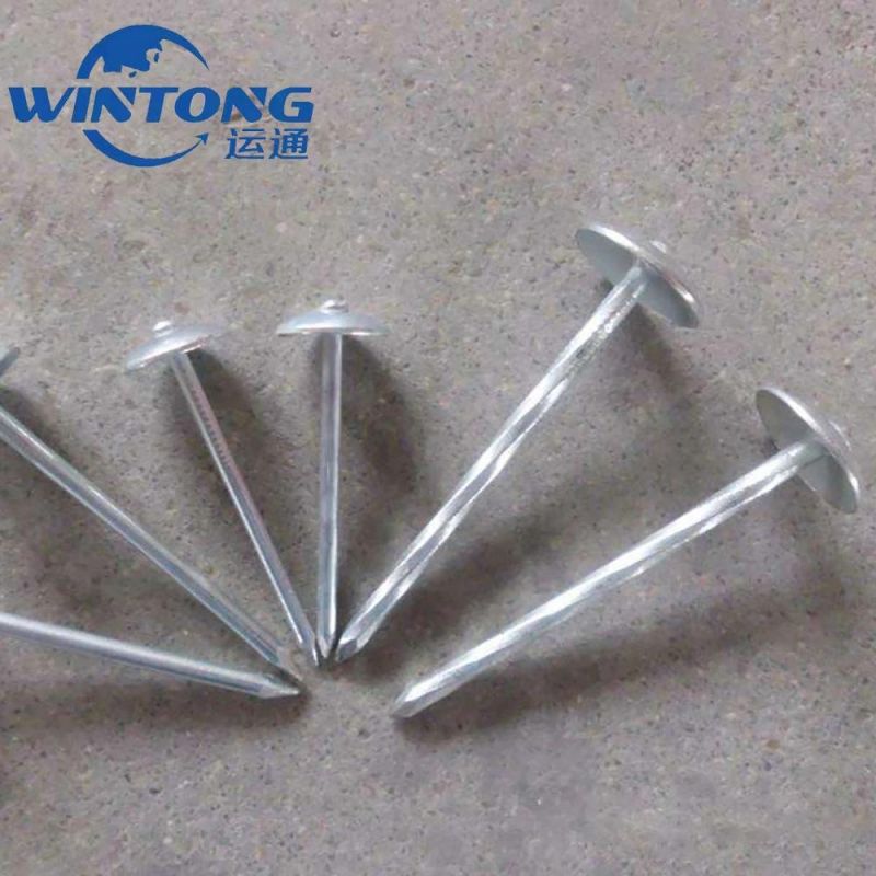 Factory Supply Galvanized Corrugated Sheet Nails Hot Sale Twisted Shank Umbrella Head Roofing Nails