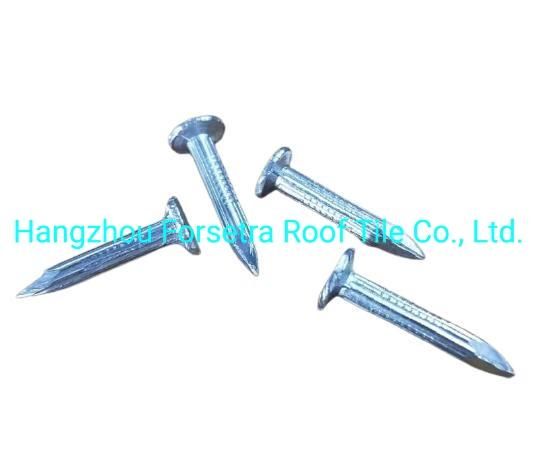 Steel Nails Roofing Accessories Roofing Nails