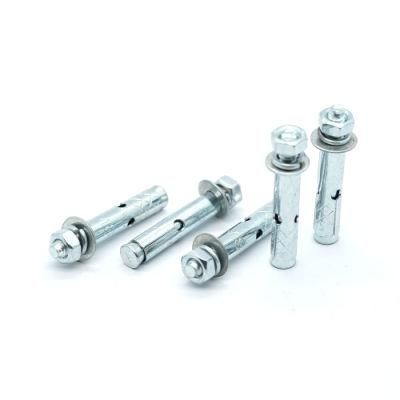 Custom Galvanized Stainless Steel Double Sleeve Expansio Chemical Anchor Bolt